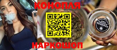 гашик Донской